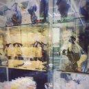 클러버 하우스 이미지