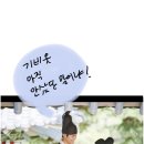 기비갤러리아
