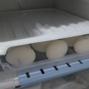 퍼털그라운드 이미지