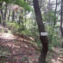 도요마을 이미지