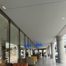 - 이탈리아 venezia a&amp;o mestre 호스텔 에이앤오 베네치아 메스트레 숙소, 조식 후기 -
