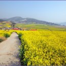 선학동민박 이미지