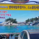 장호바다민박 이미지