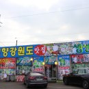 연안부두 횟집 가격 가성비 좋은 고퀄리티 내고향강원도