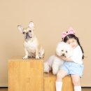 쉬오트애견풀빌라 이미지