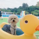 개리비안베이 이미지