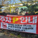 서귀포소방서 | 제주 서귀포 "백한철꽈배기" 내돈내산 후기 :: 대파꽈배기, 백바치토