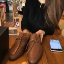 도그앤미 이미지