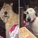 너나미용실 이미지