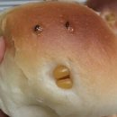 시블링즈 이미지