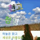 청명(유) 이미지