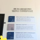 황금초등병설 이미지