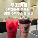 김정문알로에백석지점 | 우지커피 리얼 수박주스 vs 수박 젤라또 쫀득빙수 내돈내산 맛 비교