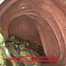 항상쾌한외과의원 이미지