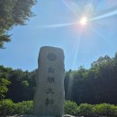 청화산농원휴게소 매점 | 2026.06.28 #82 청화산