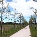 경포저류지 이미지