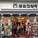 못된고양이 매일일보