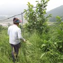 황영농장 이미지