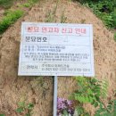 보은산소 네이버블로그