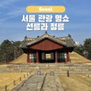 정릉64 | 서울 관광 명소 선릉과 정릉 세계문화유산 선정릉 산책