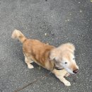 땡스마미 이미지