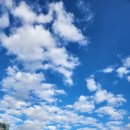 명성프라자 이미지