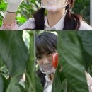 이유리농장 이미지