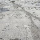 무릉선원 이미지