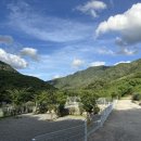 비타민 팜 오토캠핑장 이미지