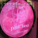 핑크루나 | 상수동 카페 핑크루나 Pink Luna 힙한 분위기의 뮤직 칵테일 바(친구랑 상수 데이트)