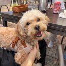 신나호텔 이미지