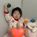 내돈내산 코코지하우스 핫딜 7개월 실사용후기