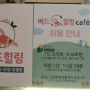 버드힐링앵무새카페 네이버블로그
