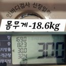 거꾸로가는시간 네이버블로그