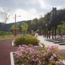 봉황산나래숲 이미지