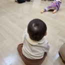 도란도란 북 플레이(6~12개월) 이미지