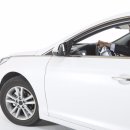 나데코 카케어 이미지