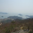 바위꽃이 활짝핀 마복산(馬伏山539m)./전남 고흥 이미지