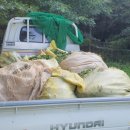 정솔농장 이미지