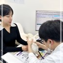 멍멍이와 야옹이 분양 미용 | 포항강아지분양 테디럽 컨설팅