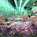 농식품산업에서의 4차 산업혁명 이미지