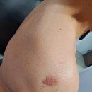 화순 미 의원 이미지