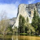 엘도라도 아마존 이미지