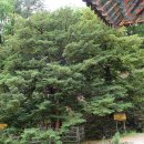 오봉산 청평사(五峰山淸平寺) /강원도 춘천시 이미지