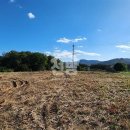 강화웰빙공인중개사사무소 이미지