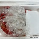 풍요로운바다 제철음식 홍게 붉은대게 찜, 라면 후기