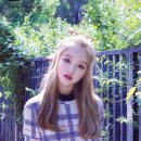 와이이와이