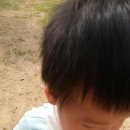 유준농장 Daum카페