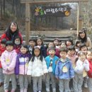 금병초병설유치원 이미지