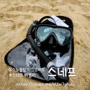 선명한 시야와 휴대성 모두 갖춘 스네프 스노쿨링마스크 추천 후기